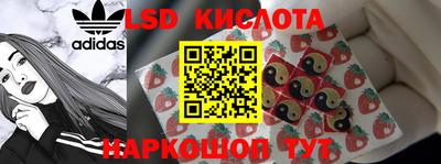 гашик Сланцы