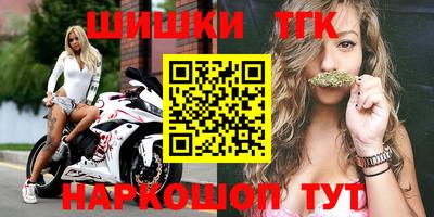гашик Сланцы