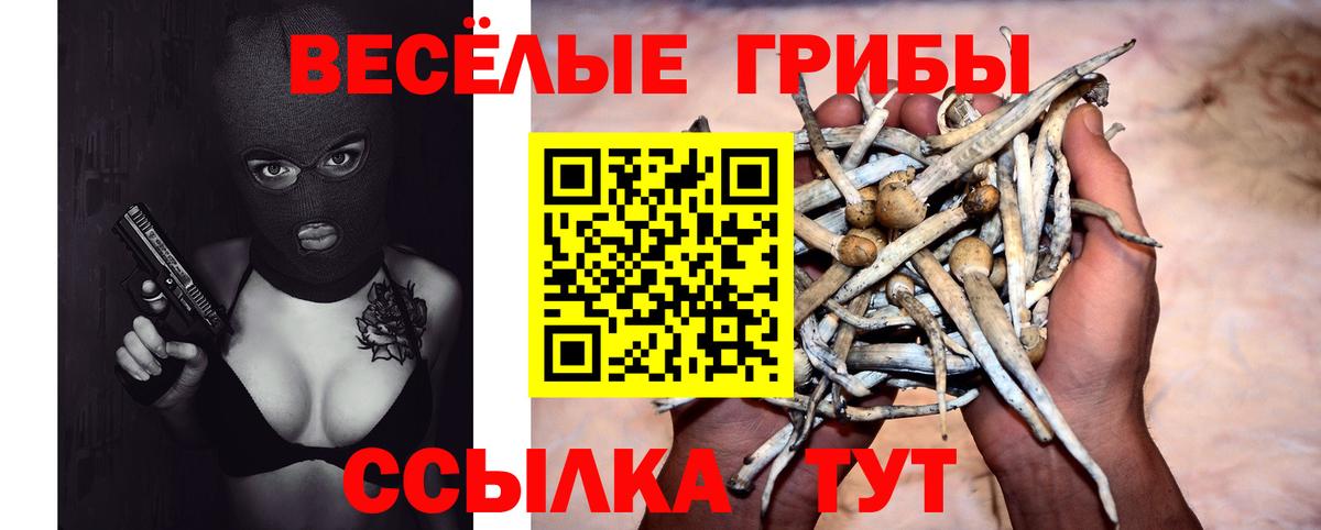 Галлюциногенные грибы Magic Shrooms Бирск