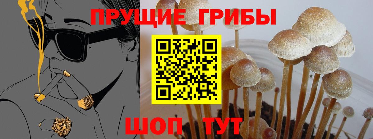 Бирск  хочу наркоту  Галлюциногенные грибы прущие грибы  Вход с VPN  Псилоцибиновые грибы прущие грибы 